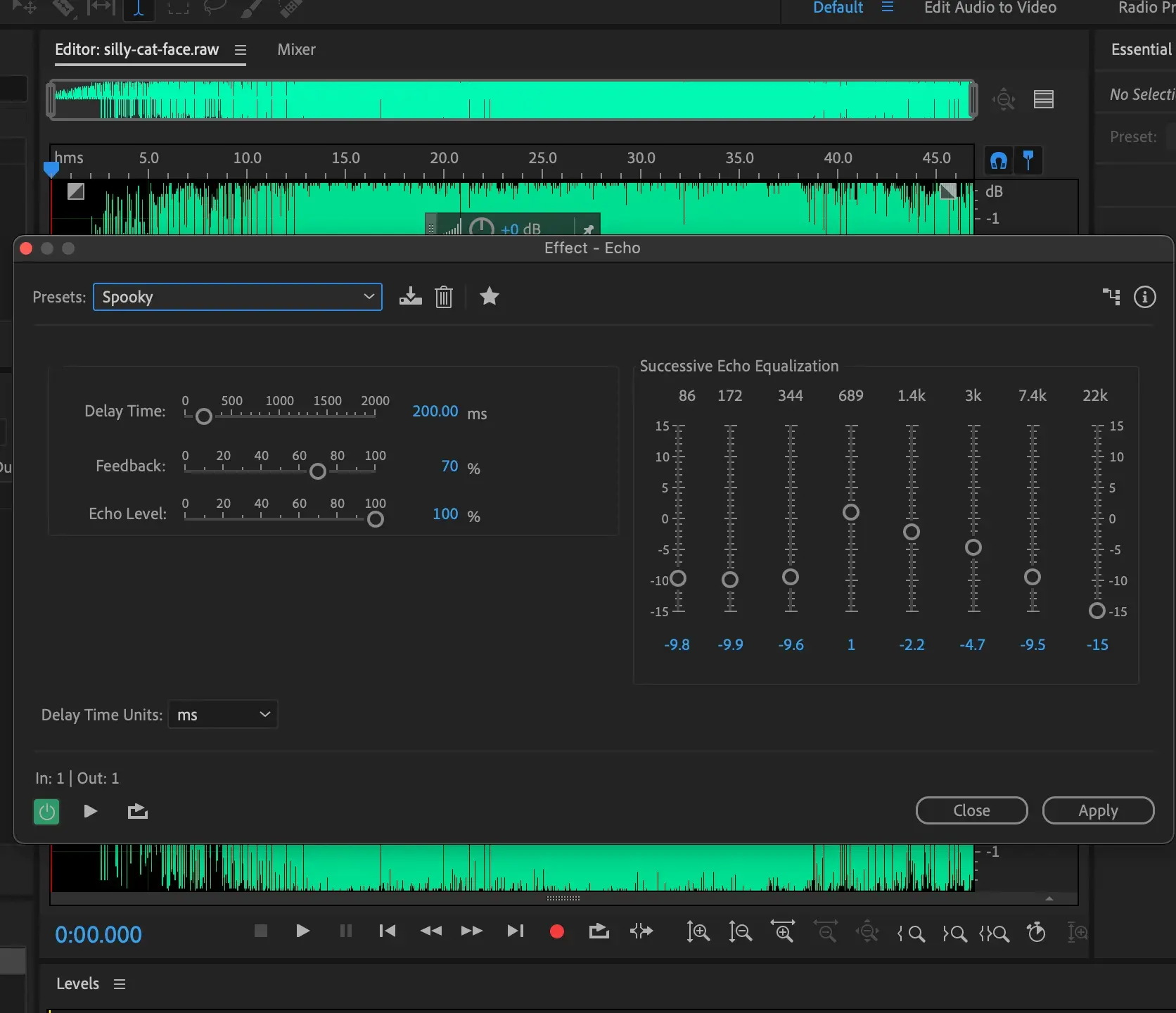 Use the transform menu to add an echo